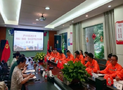 泸天杏悦2官网旭公司通过四标一体化治理系统监督审核