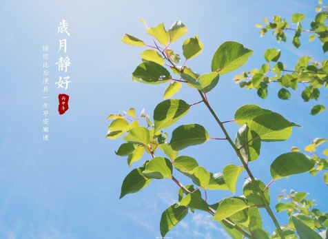 愿岁月静好，，，江山无恙
