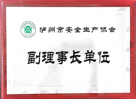 泸州市安全出产协会副理事长单元